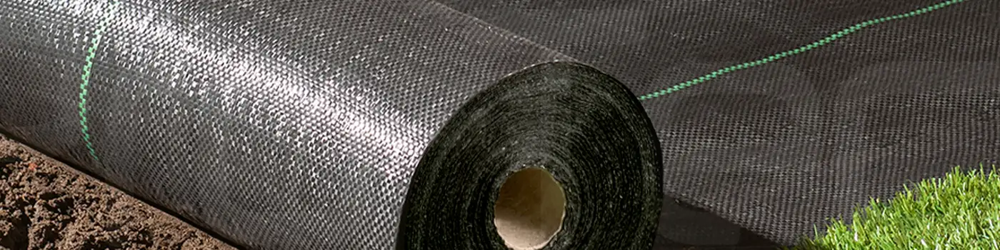 Các sản phẩm