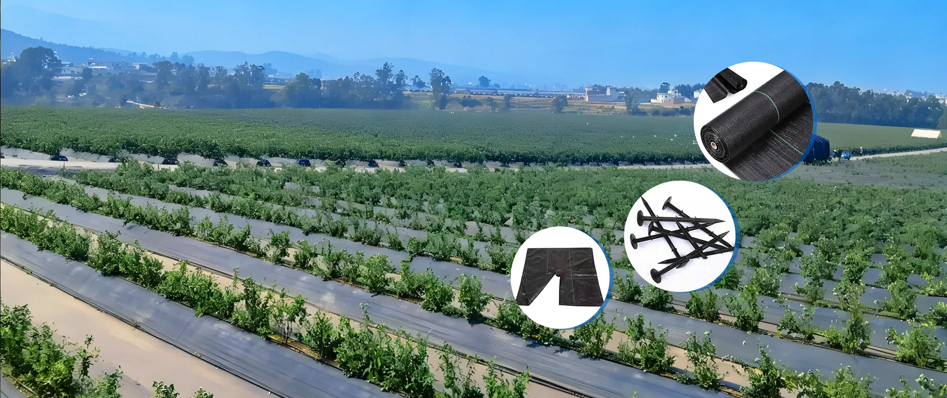 Nhà sản xuất vải Weed Barrier Trung Quốc