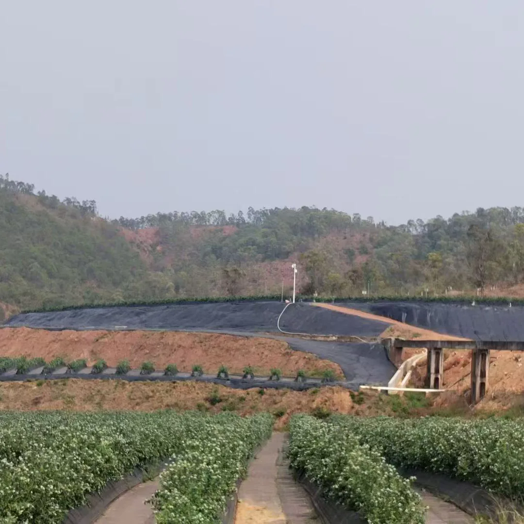 Thuốc thảo dược Weed Barrier Fabric