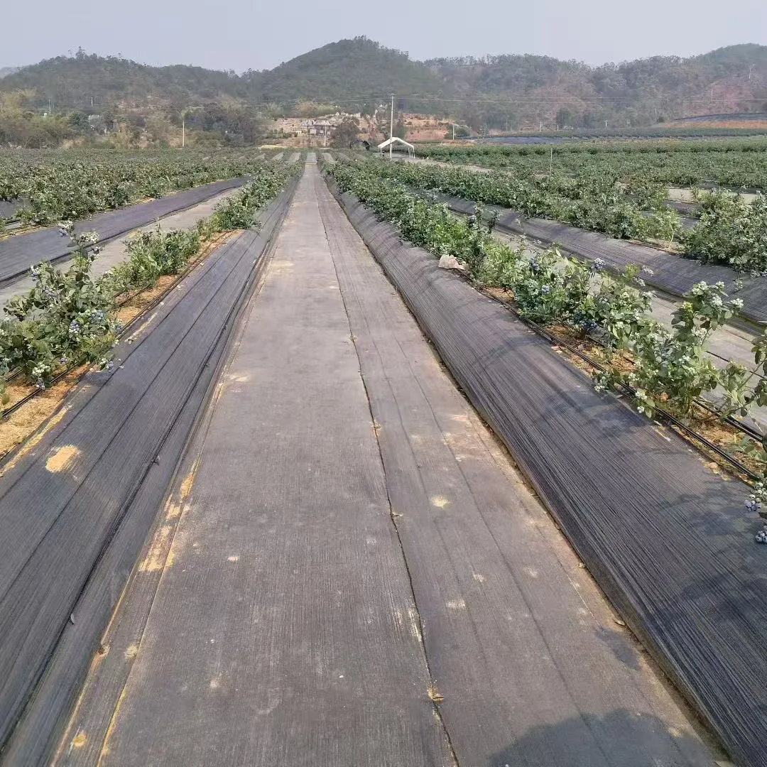 Vải rào cản cỏ dại có thể phân hủy sinh học