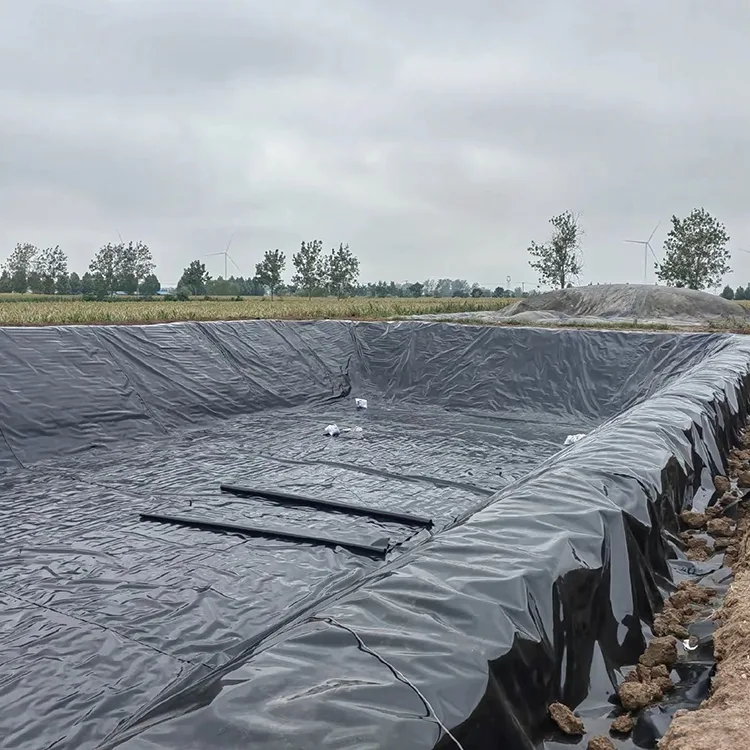 Tấm lót màng địa kỹ thuật ao cá